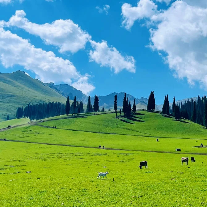 Nalati Grassland