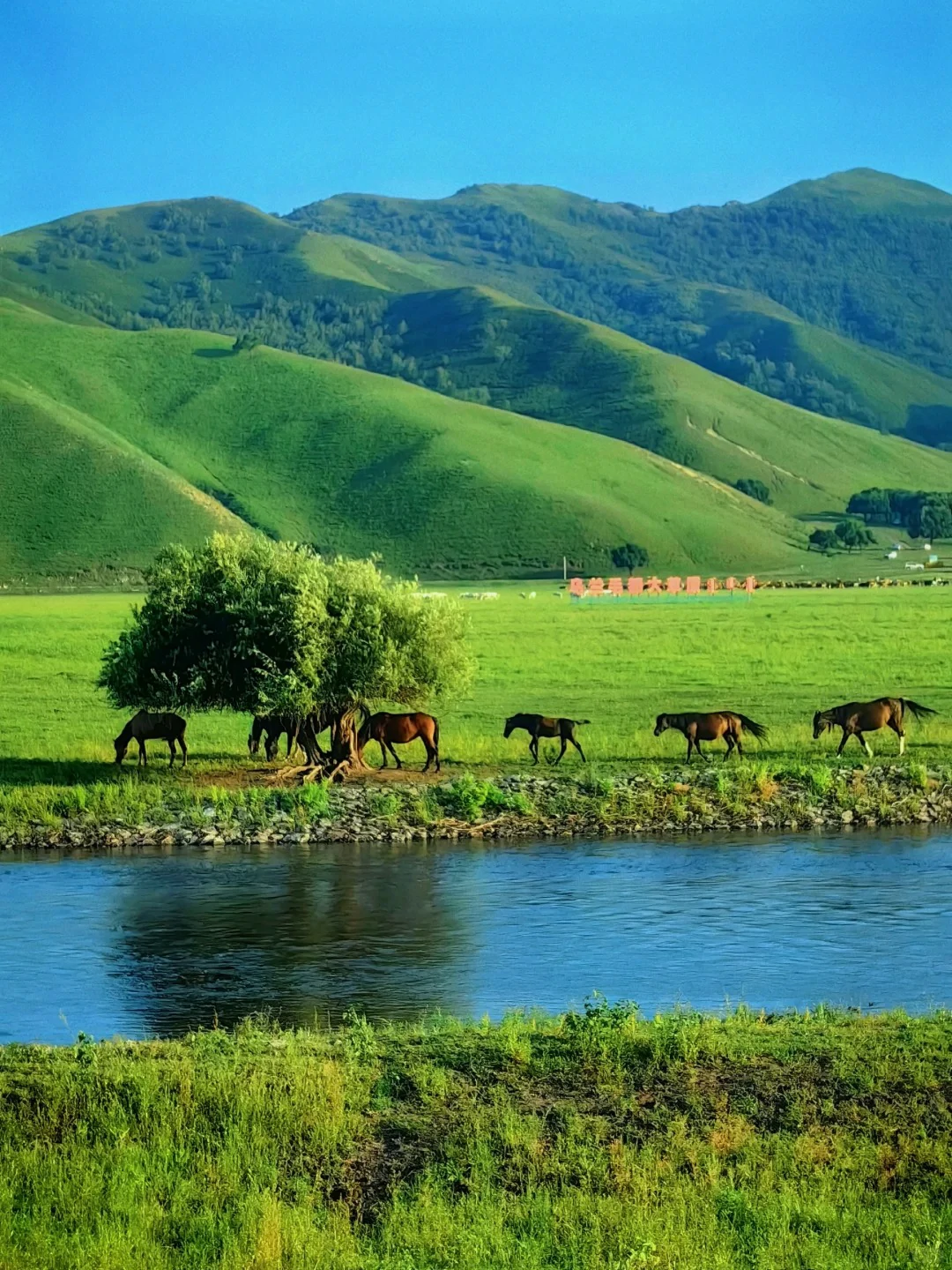 Jimsar Grassland