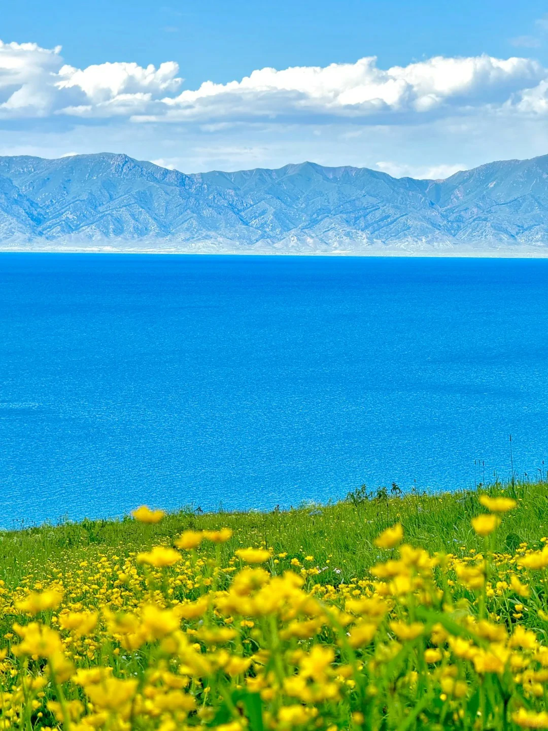 Sayram Lake Scenery